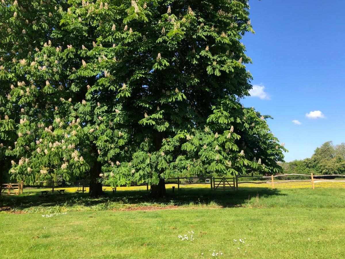 Ryefield Cottage - Luxurious Self-Catered Holiday Cottage With A Log Burner Chichester Esterno foto