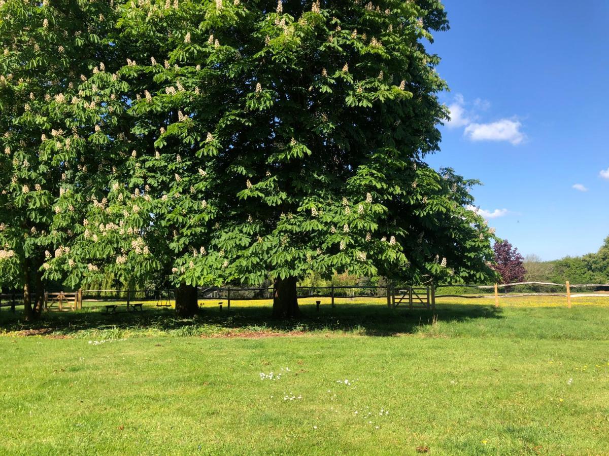 Ryefield Cottage - Luxurious Self-Catered Holiday Cottage With A Log Burner Chichester Esterno foto