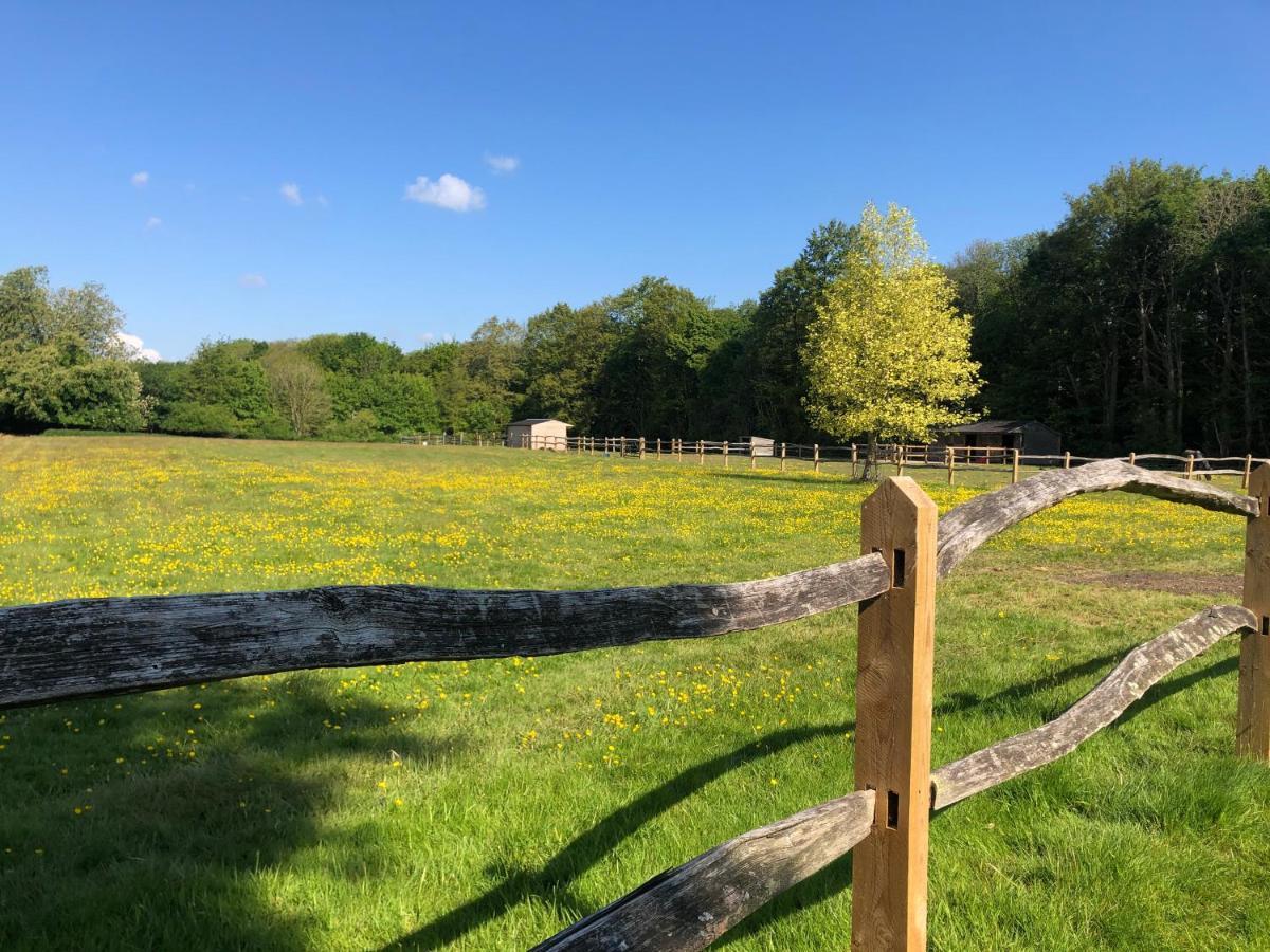 Ryefield Cottage - Luxurious Self-Catered Holiday Cottage With A Log Burner Chichester Esterno foto
